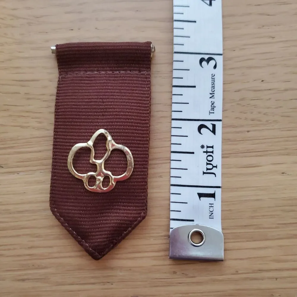 Vintage 90s Girl Scout Brownie Pin Set